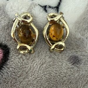 Elegant Gold and Amber Earrings